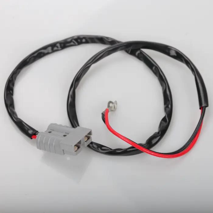 Friteuse d'air électrique de 12V 200W 2.5L pour la cuisson sans huile de voyage de Camping dans le camion