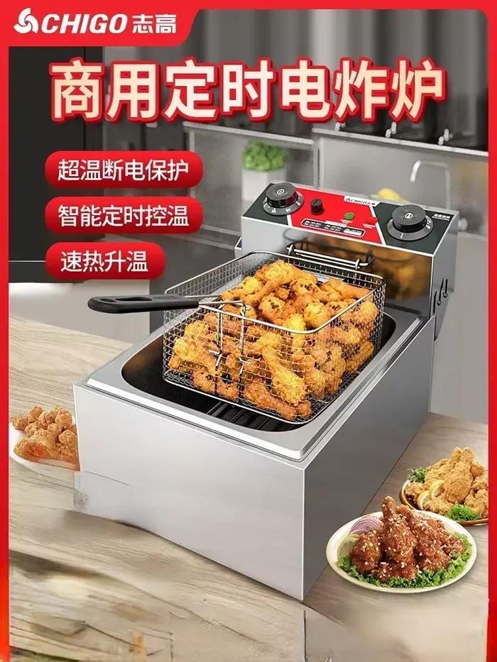 Friteuse électrique 220V
