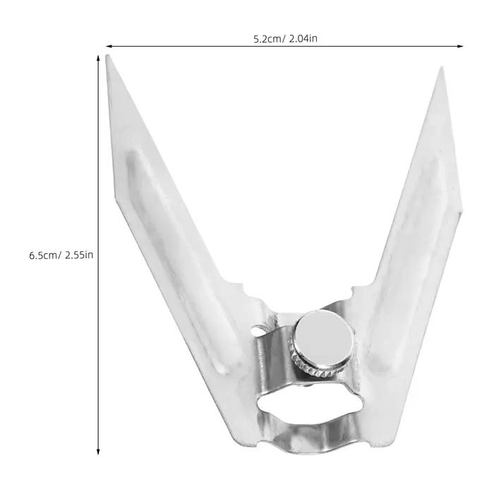 Fourchettes à rôtissoire en acier inoxydable