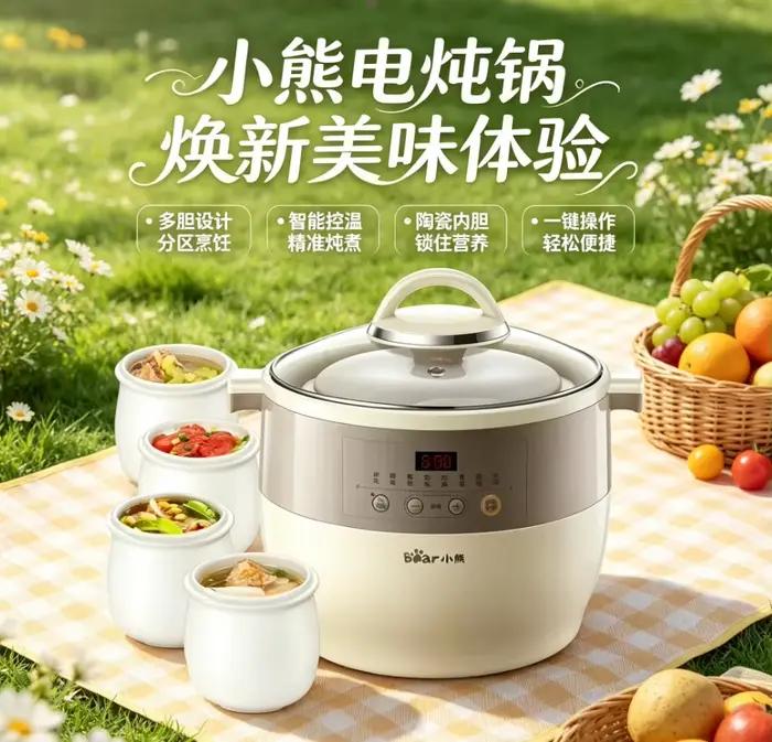 Mijoteuse électrique intelligente 200 V pour usage domestique