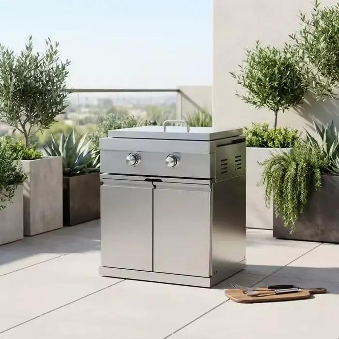 Plaque de cuisson intégrée en acier inoxydable pour barbecue à gaz, brûleur galvanisé moderne pour cuisine extérieure et camping