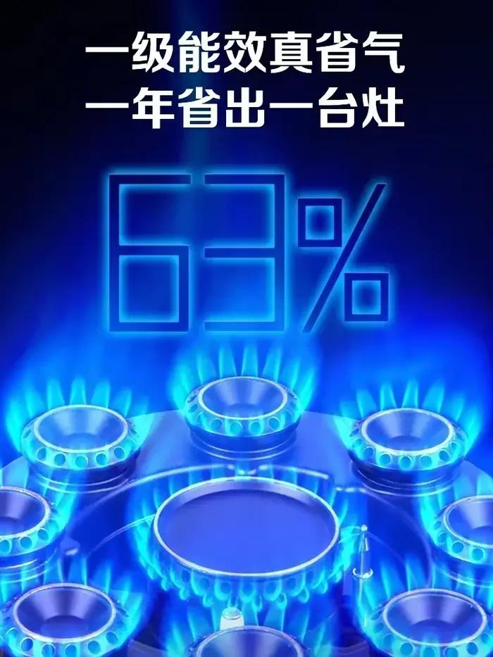 Cuisinière à gaz à économie d'énergie avec flamme puissante