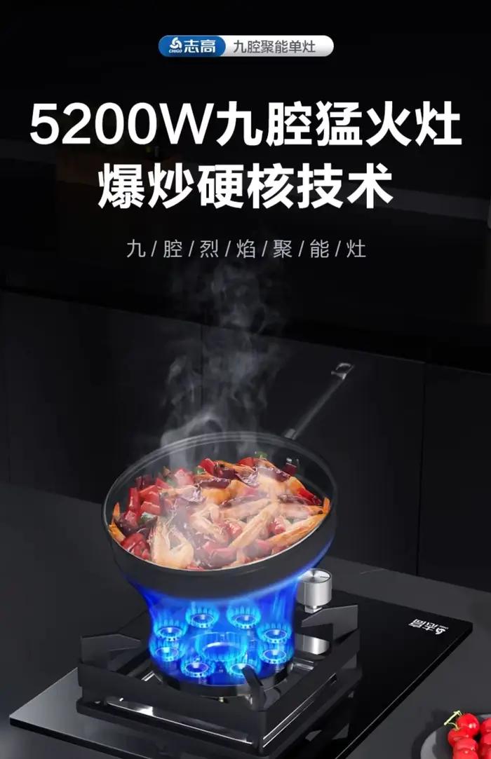Cuisinière à gaz simple intégrée avec cuisinière à gaz GPL/naturel