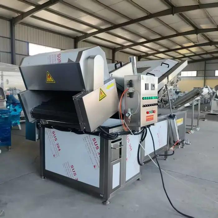 Friteuse continue en acier inoxydable 304 pour restaurants fermes usines de transformation alimentaire et entreprises de restauration occasions spéciales