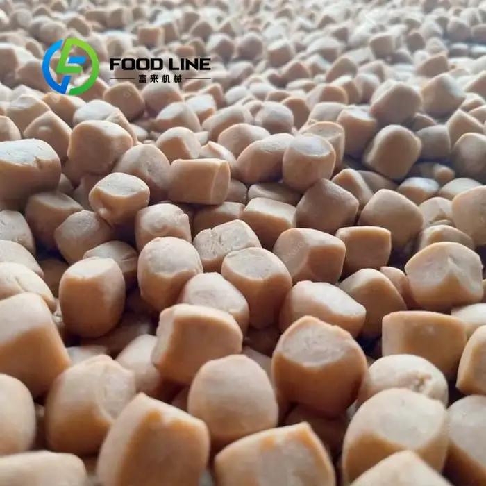 Friteuse commerciale automatique Gondor nouvelle génération 2023 pour la préparation de snacks populaires et variés en entreprise grande taille occassions spéciales