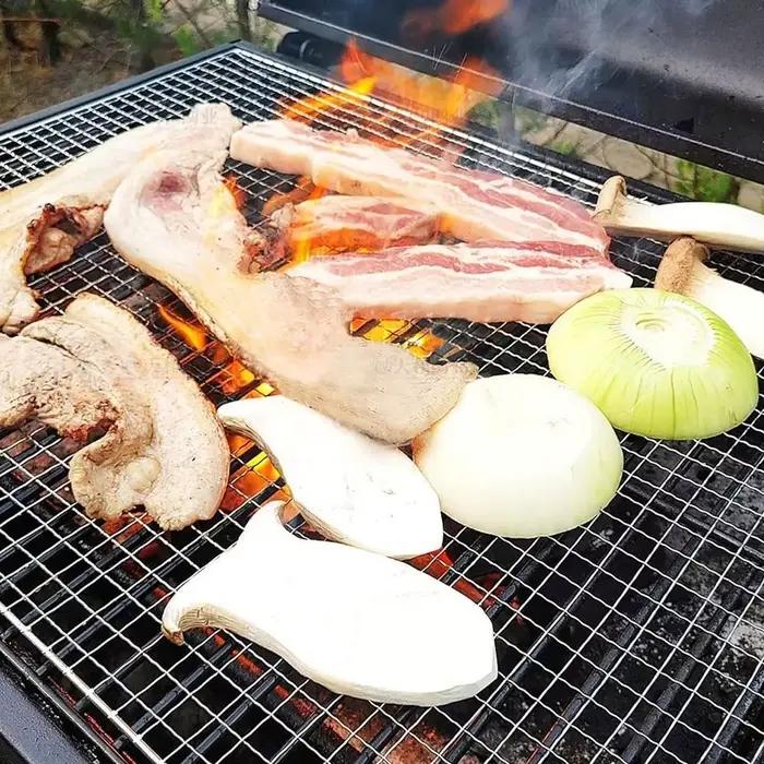 Nouveau Grille de gril en acier inoxydable grilles réutilisables antiadhésives support de rôtissage pour barbecue