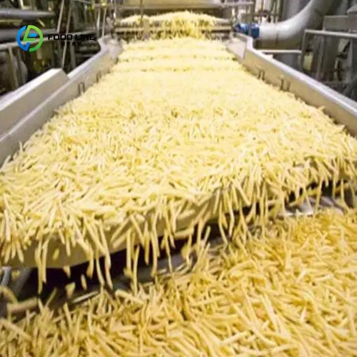 Friteuse Électrique Commerciale Personnalisable pour Production de Frites et Chips de Pommes de Terre Surgelées Occasions Spéciales Restaurateurs Cuisiniers