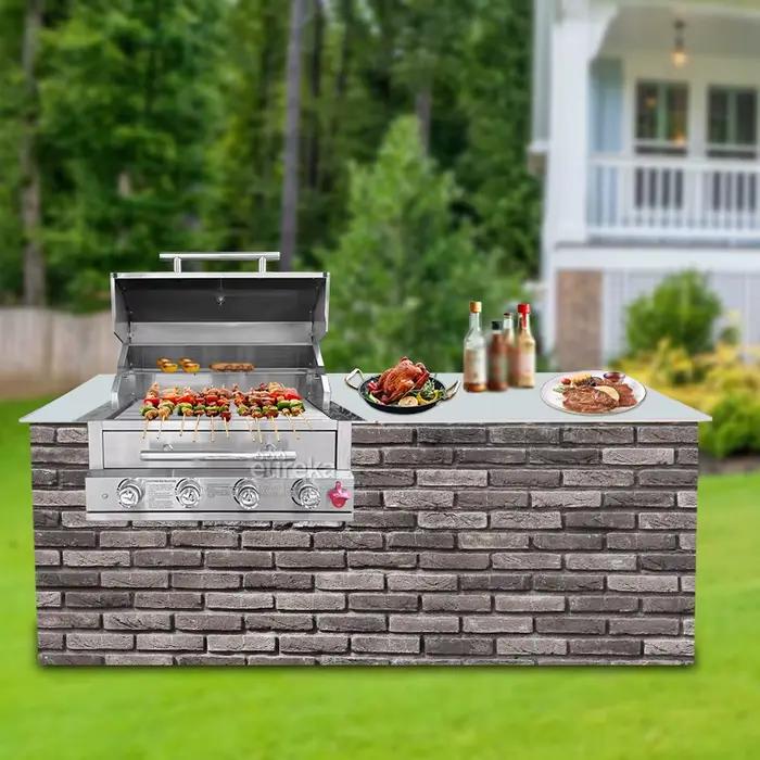 Grand gril extérieur à gaz et au charbon de bois pour les fêtes avec contre-grill