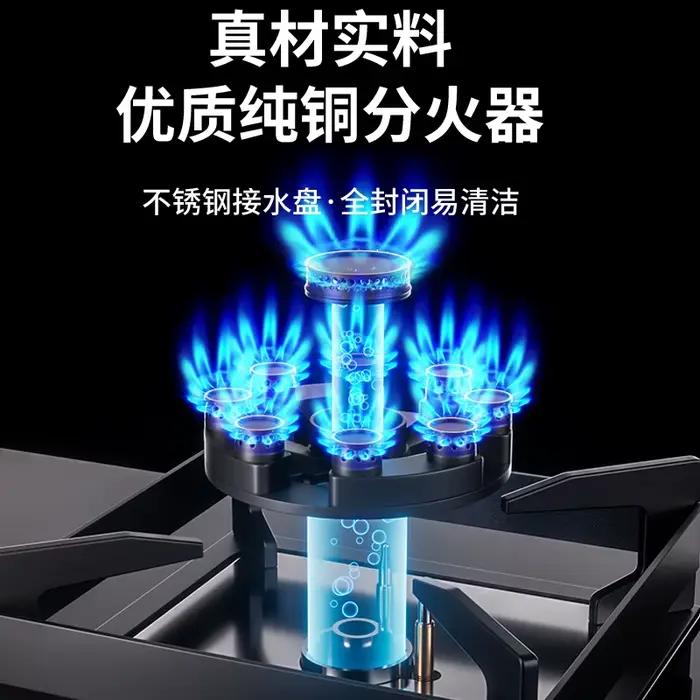 Royalstar cuisinière à gaz Double brûleur économie d'énergie ménage gaz naturel GPL table de cuisson AG