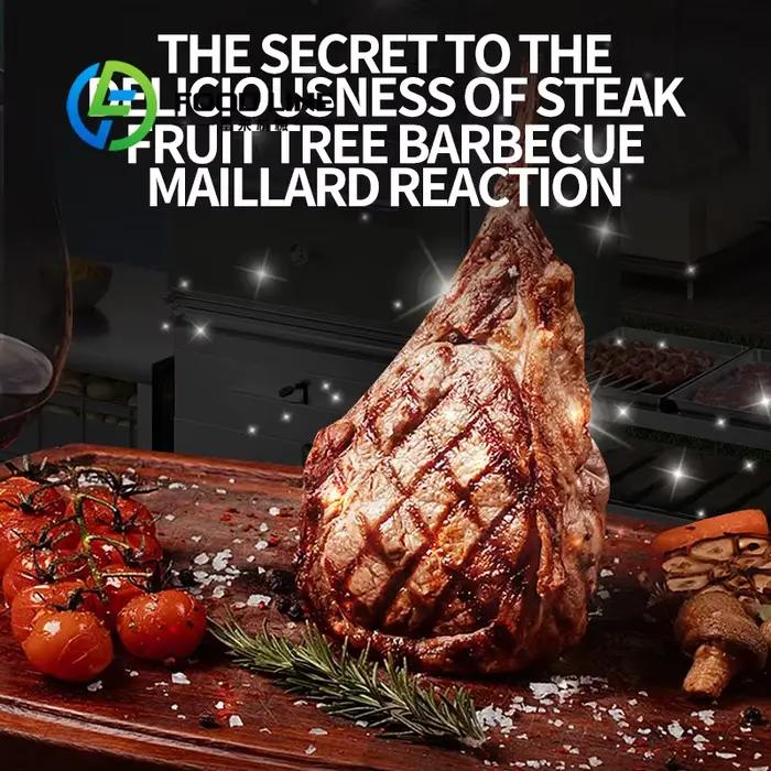 Barbecue au charbon multifonctionnel commercial personnalisable pour la cuisson de viande (bœuf